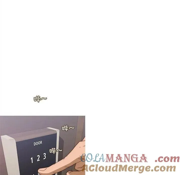 25 第43页