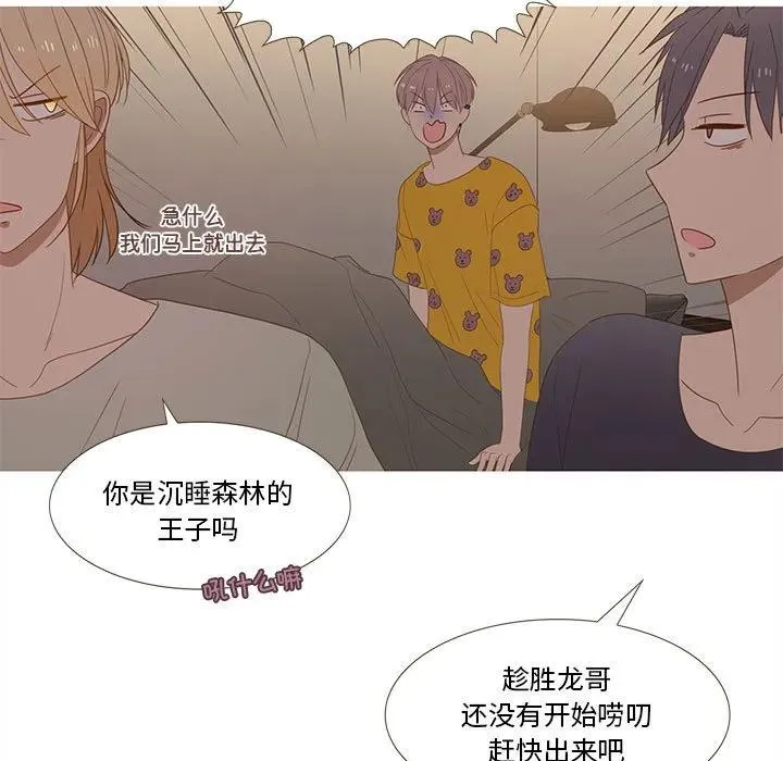 26 第23页