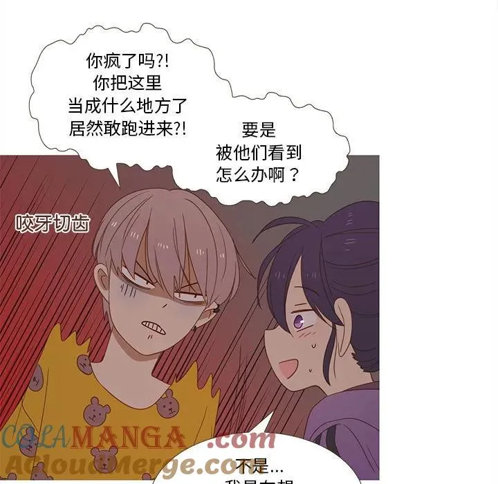 26 第28页