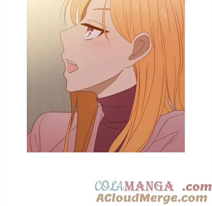 26 第79页