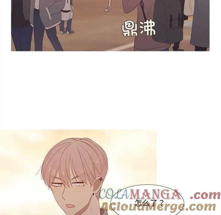 28 第55页