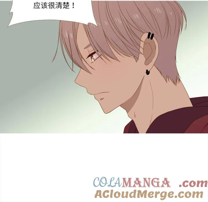 31 第41页