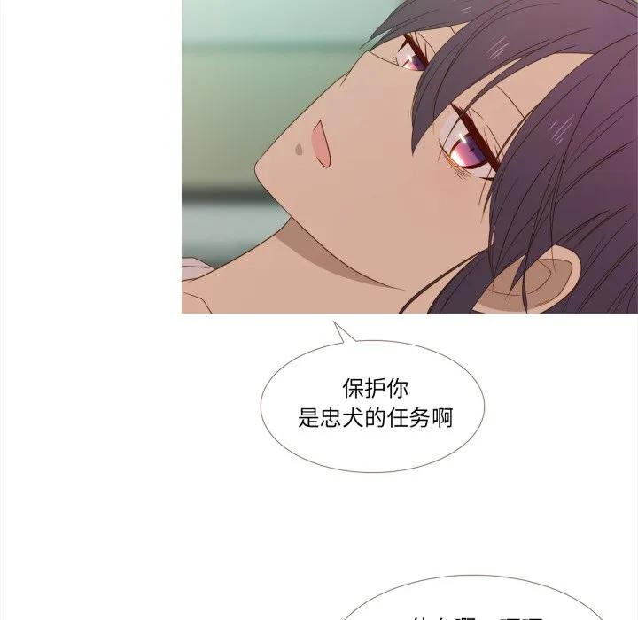 31 第51页