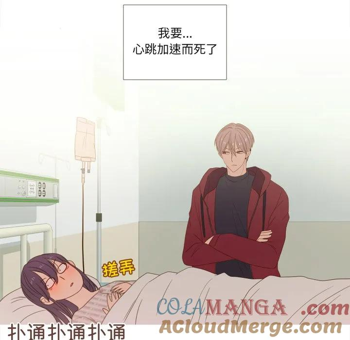 31 第61页