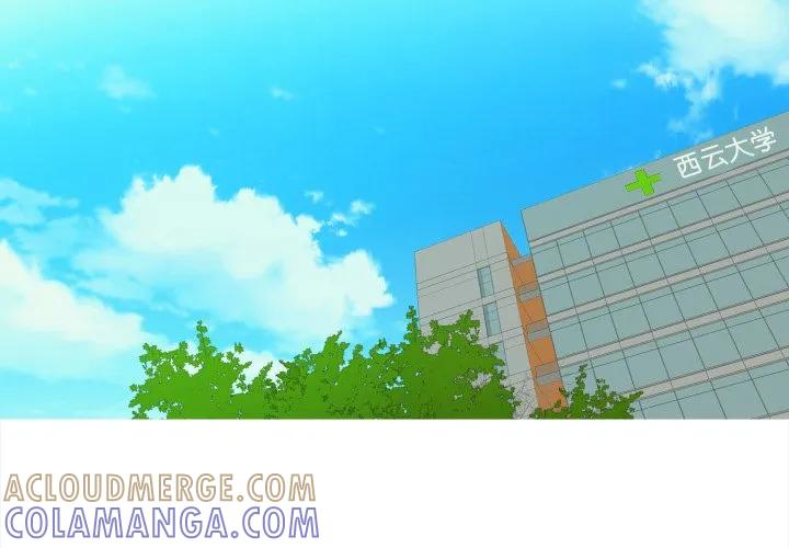 33 第4页