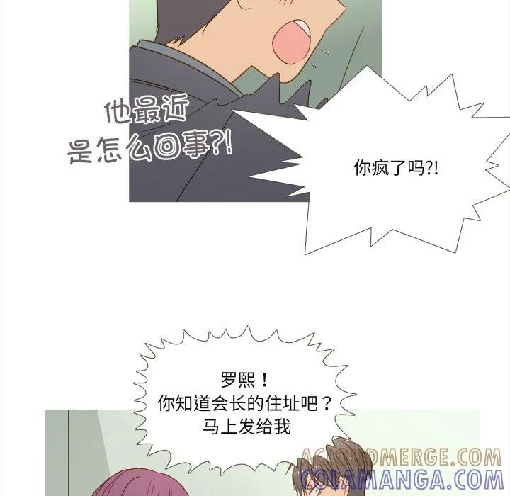 33 第43页