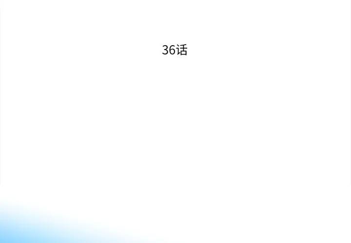 36 第3页