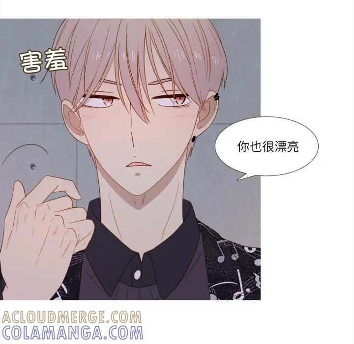38 第33页