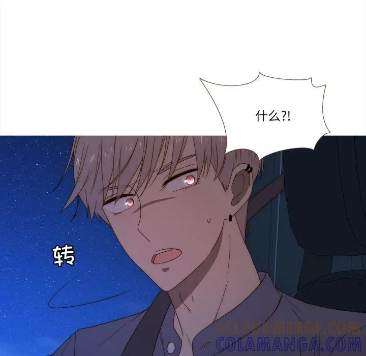 38 第81页