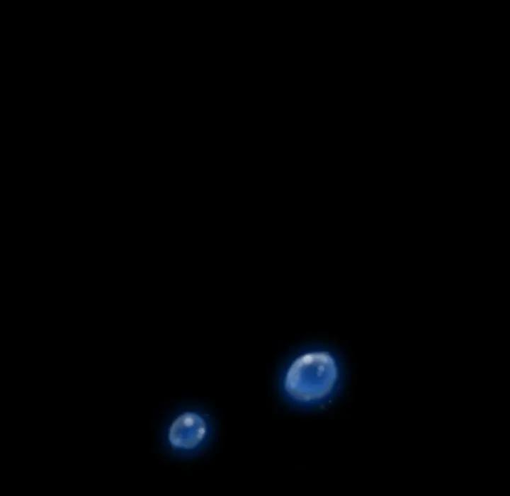 41 第5页