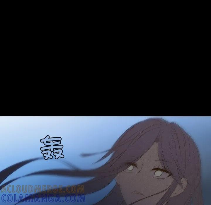 41 第13页