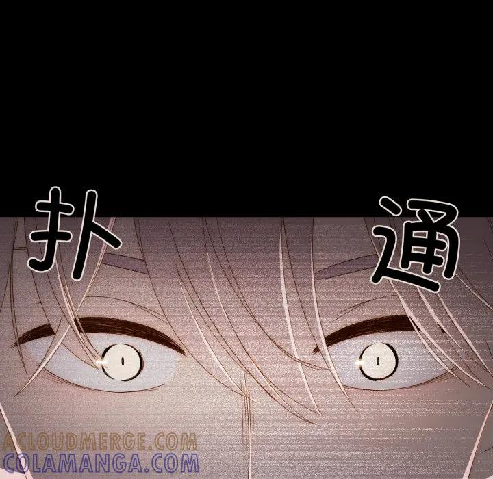 41 第31页