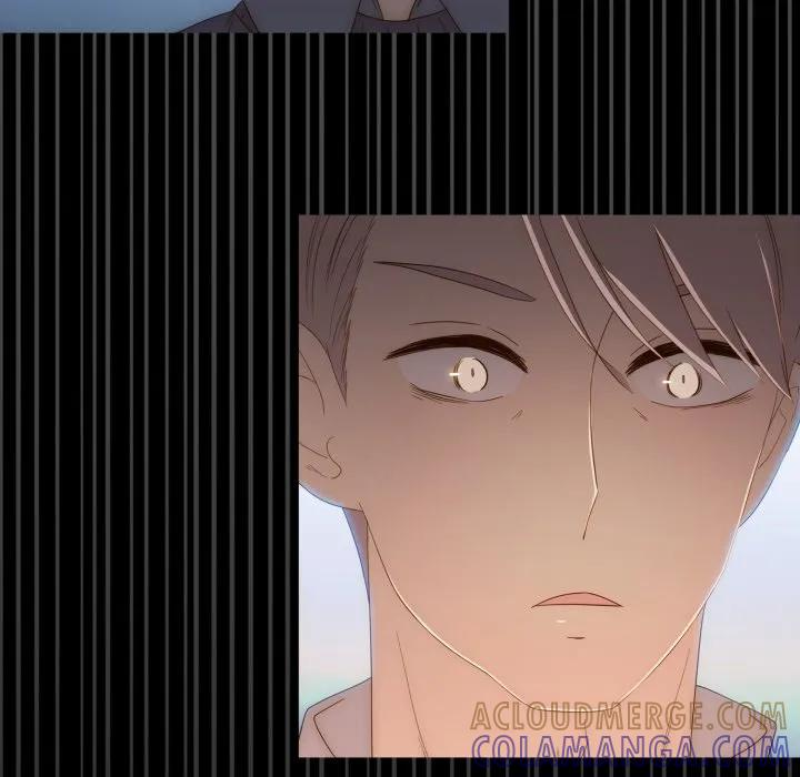 41 第55页