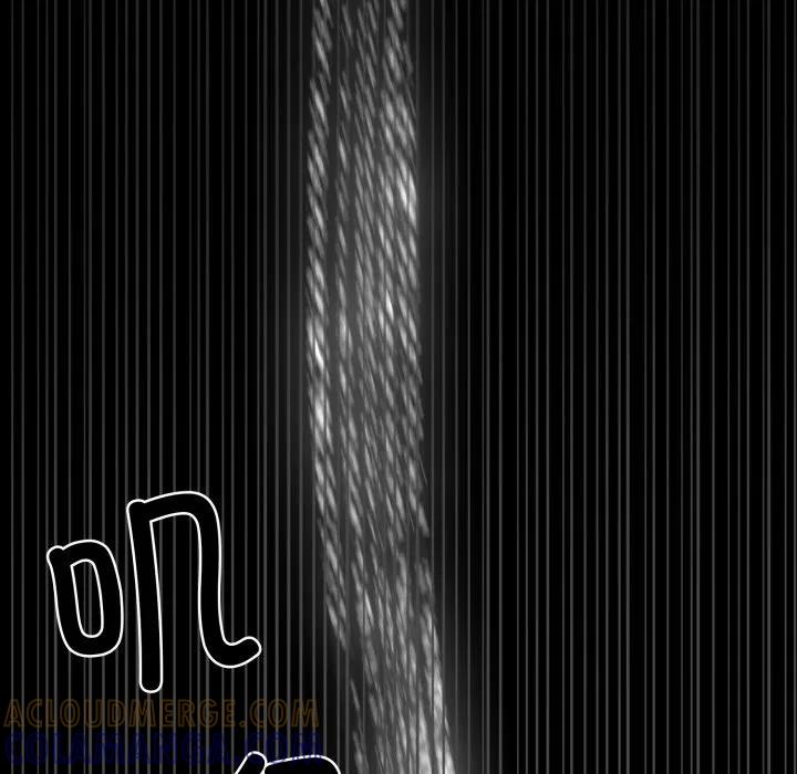 41 第61页