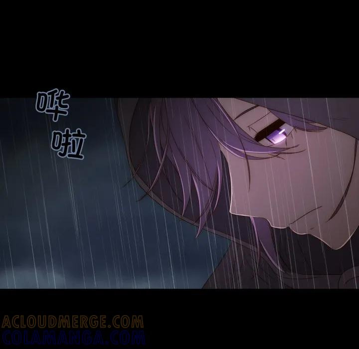 41 第70页
