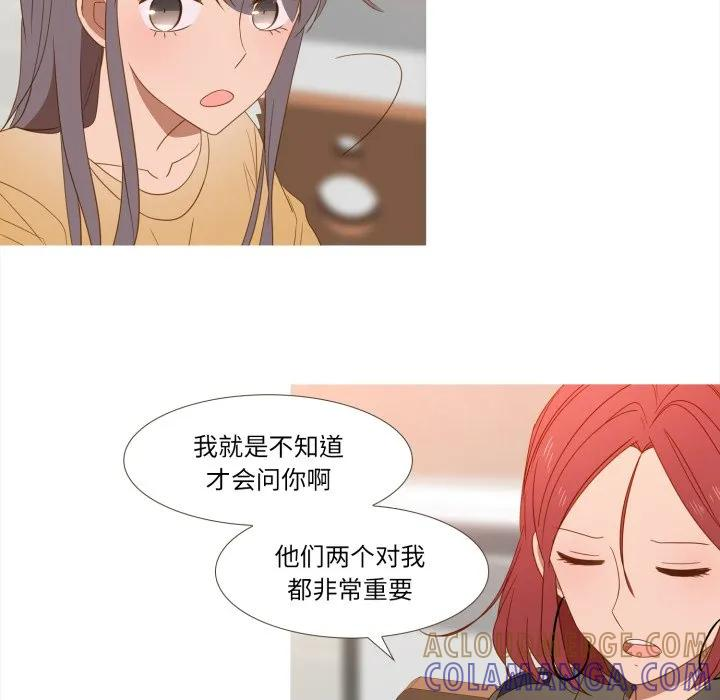 43 第13页