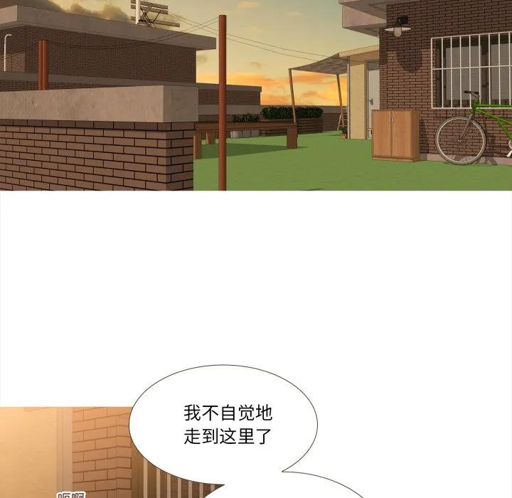 43 第20页