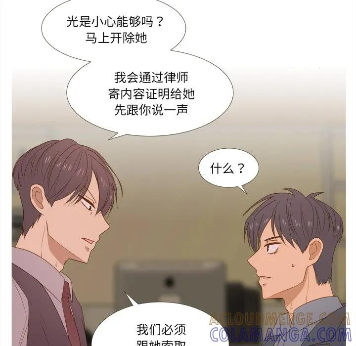43 第43页
