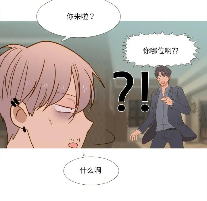 43 第63页