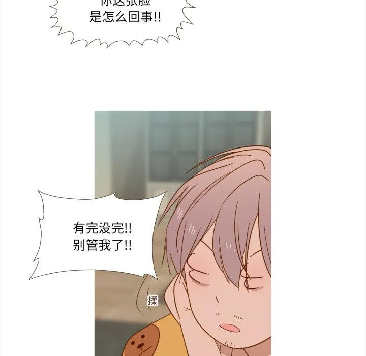 43 第65页