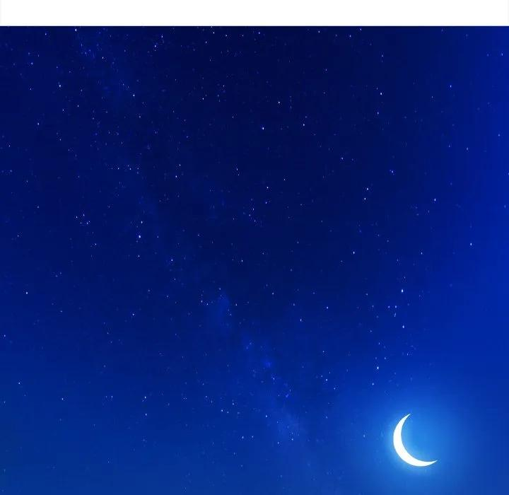 44 第81页