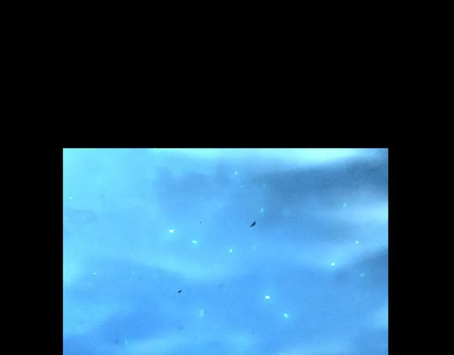 第25话 神秘杀手出现 第52页