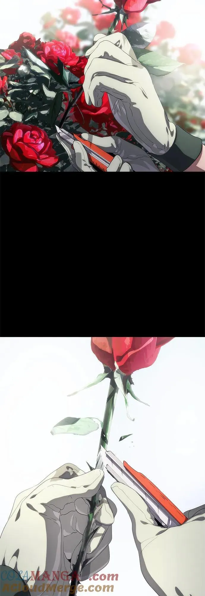 第49话 第16页