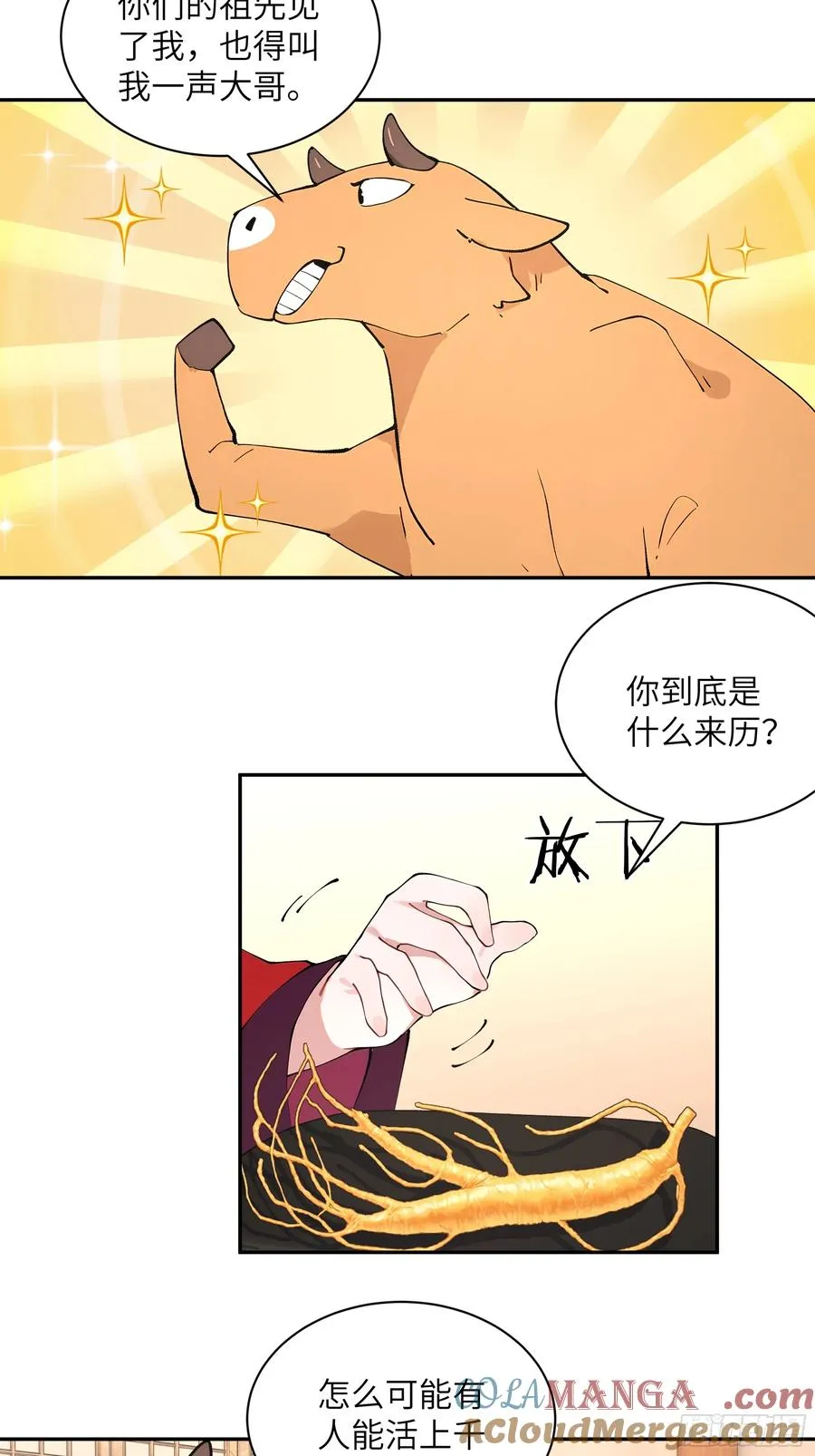 46 千年人参滋补 第16页