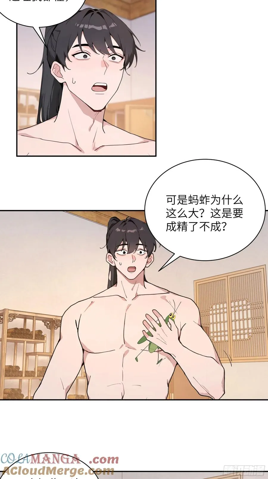 52 零星草 第16页