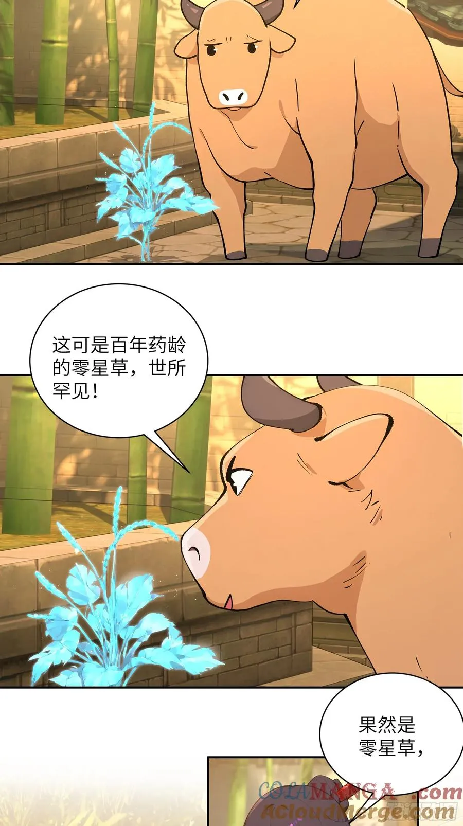 52 零星草 第31页