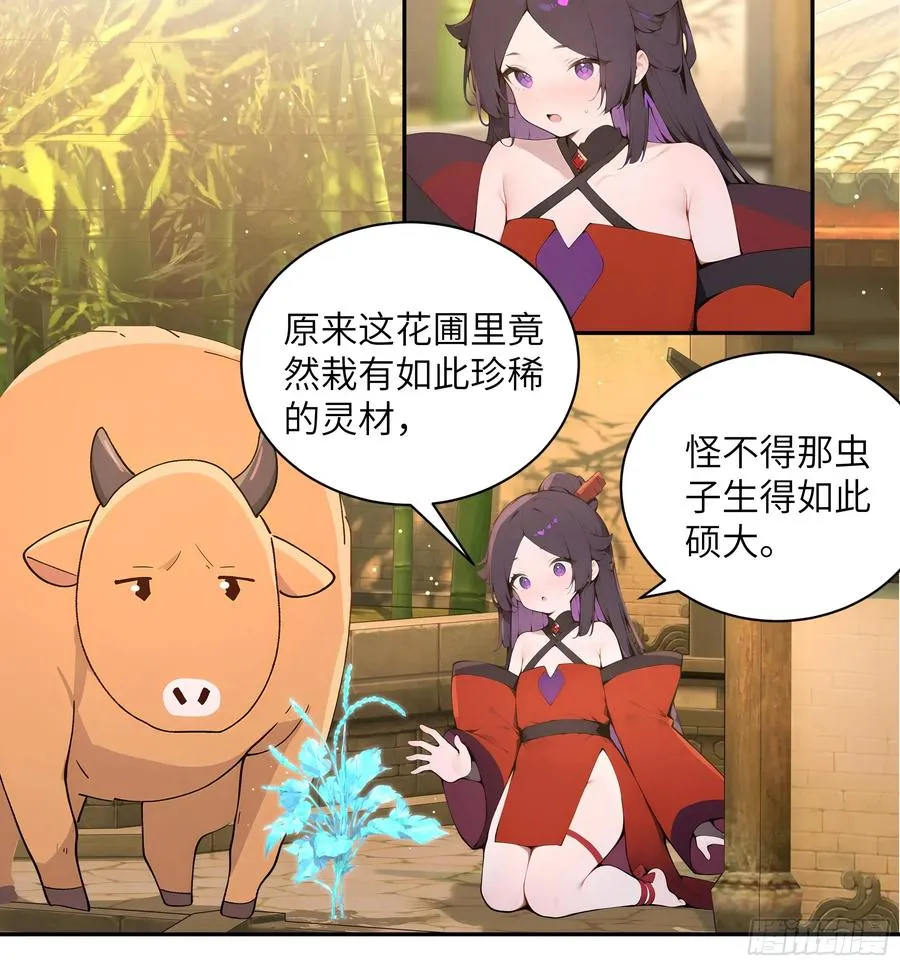 52 零星草 第32页