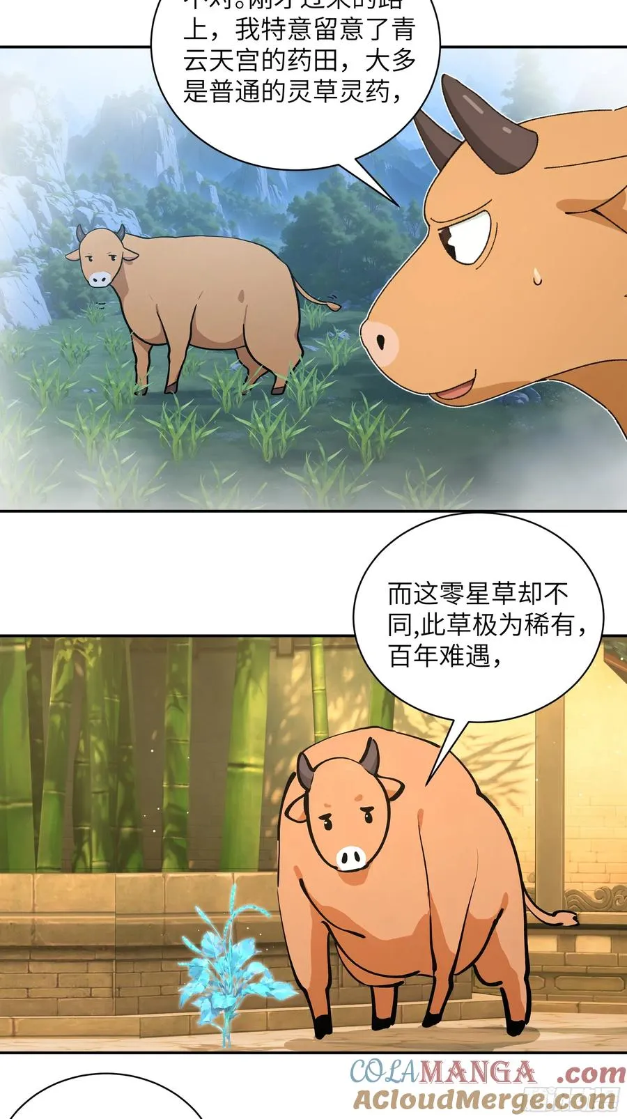 52 零星草 第34页