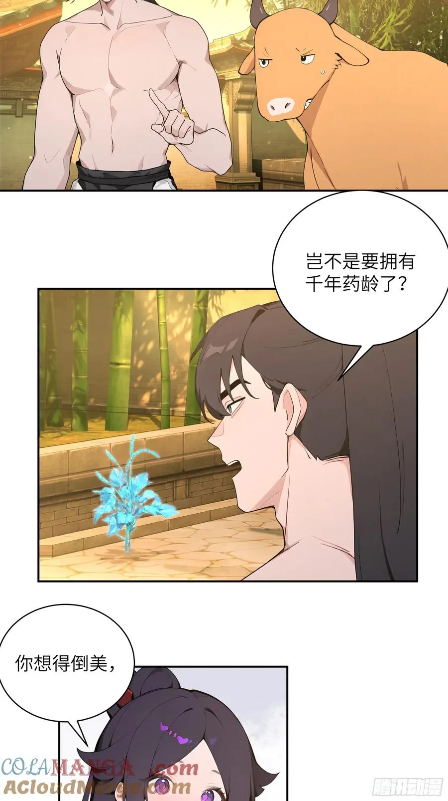 52 零星草 第37页