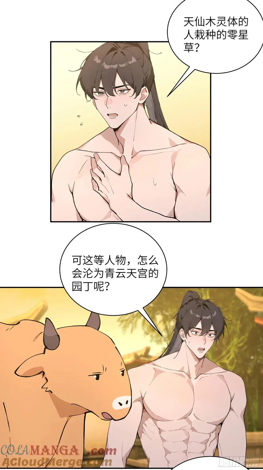 52 零星草 第40页