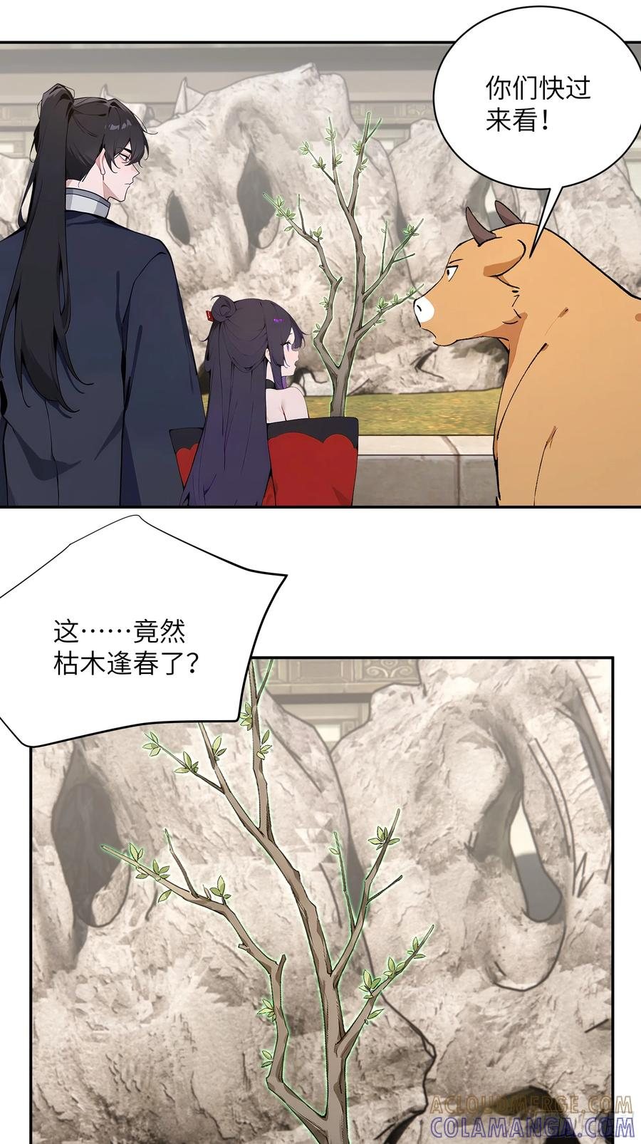 63 仙木灵根？ 第28页