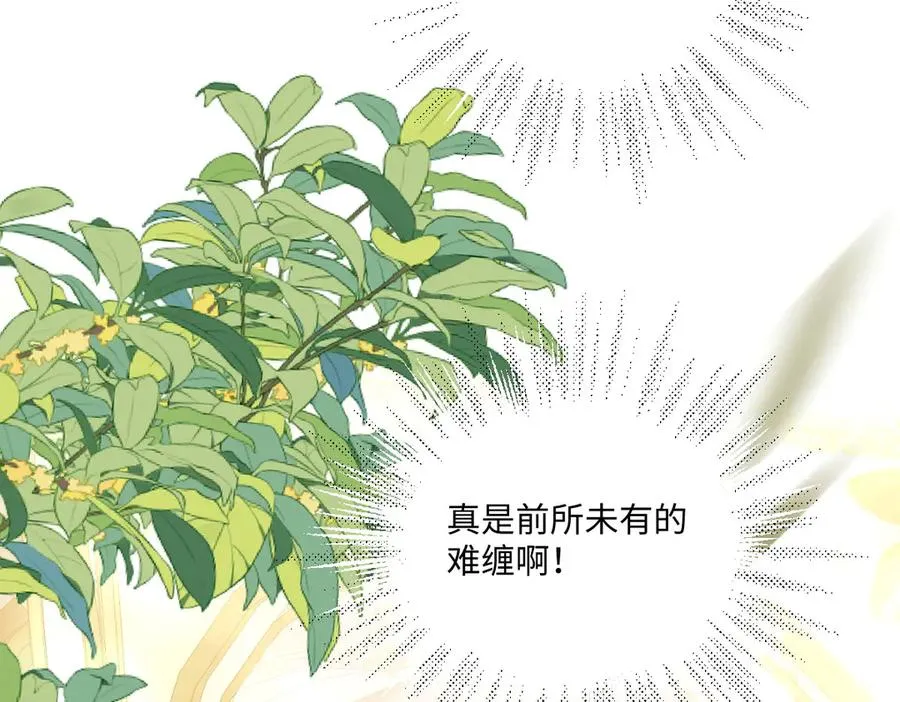 13 可以每天来看我吗 第39页