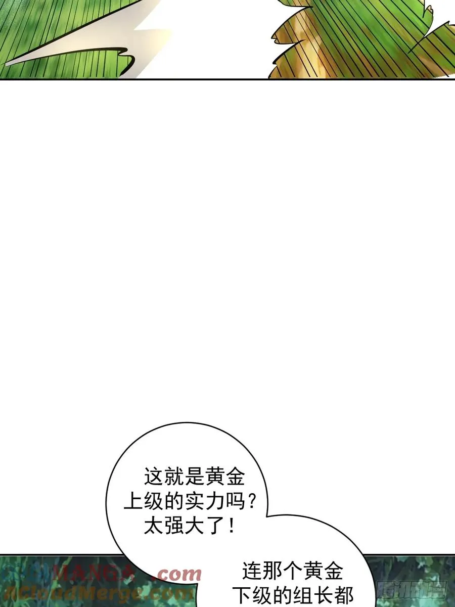 第7话：巅峰之血 第13页