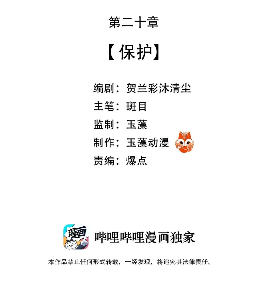 20 保护 第3页