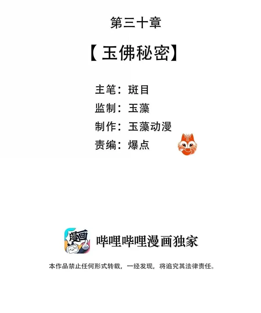 30 玉佛秘密 第3页