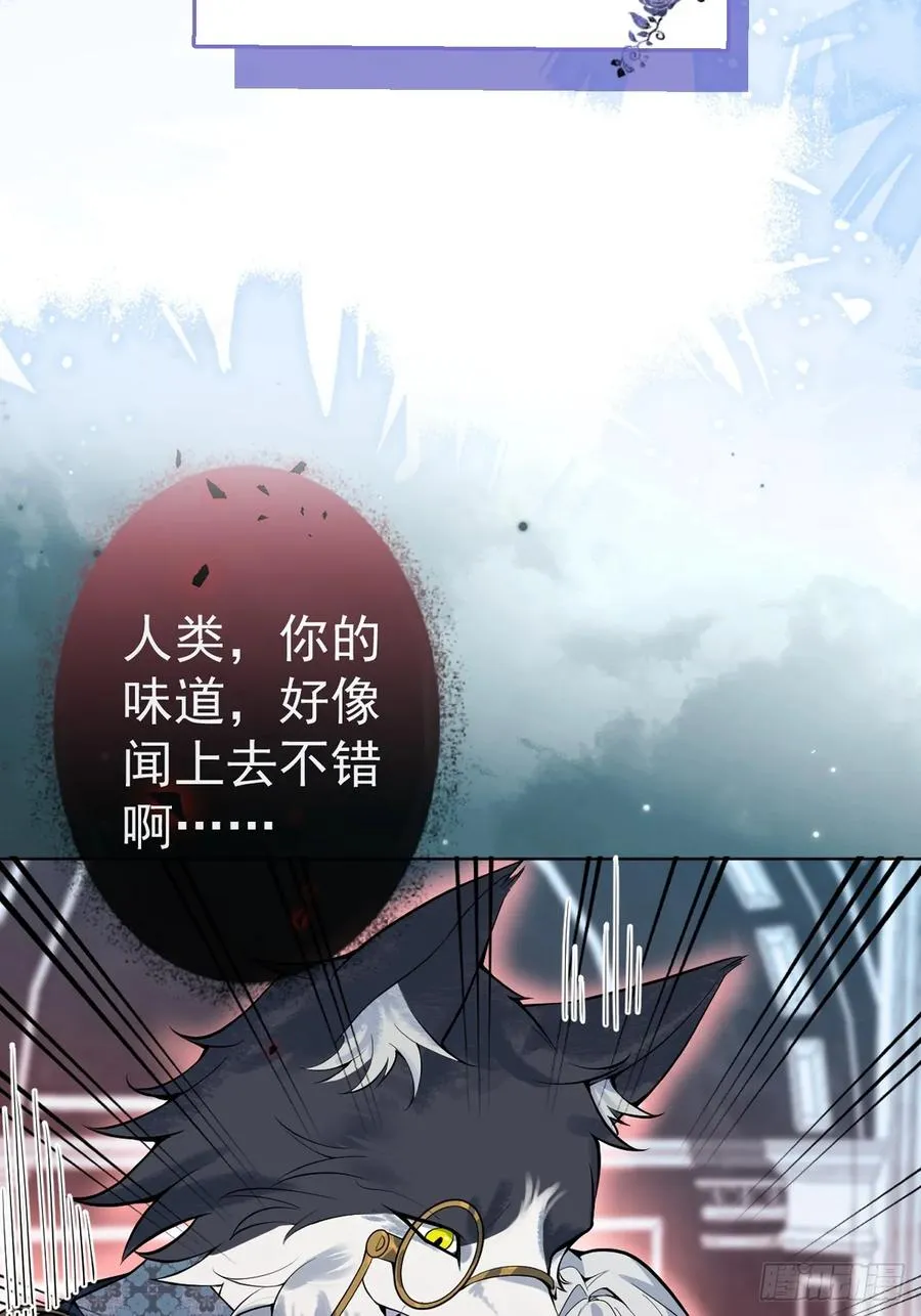 19-大猫猫来了~ 第71页