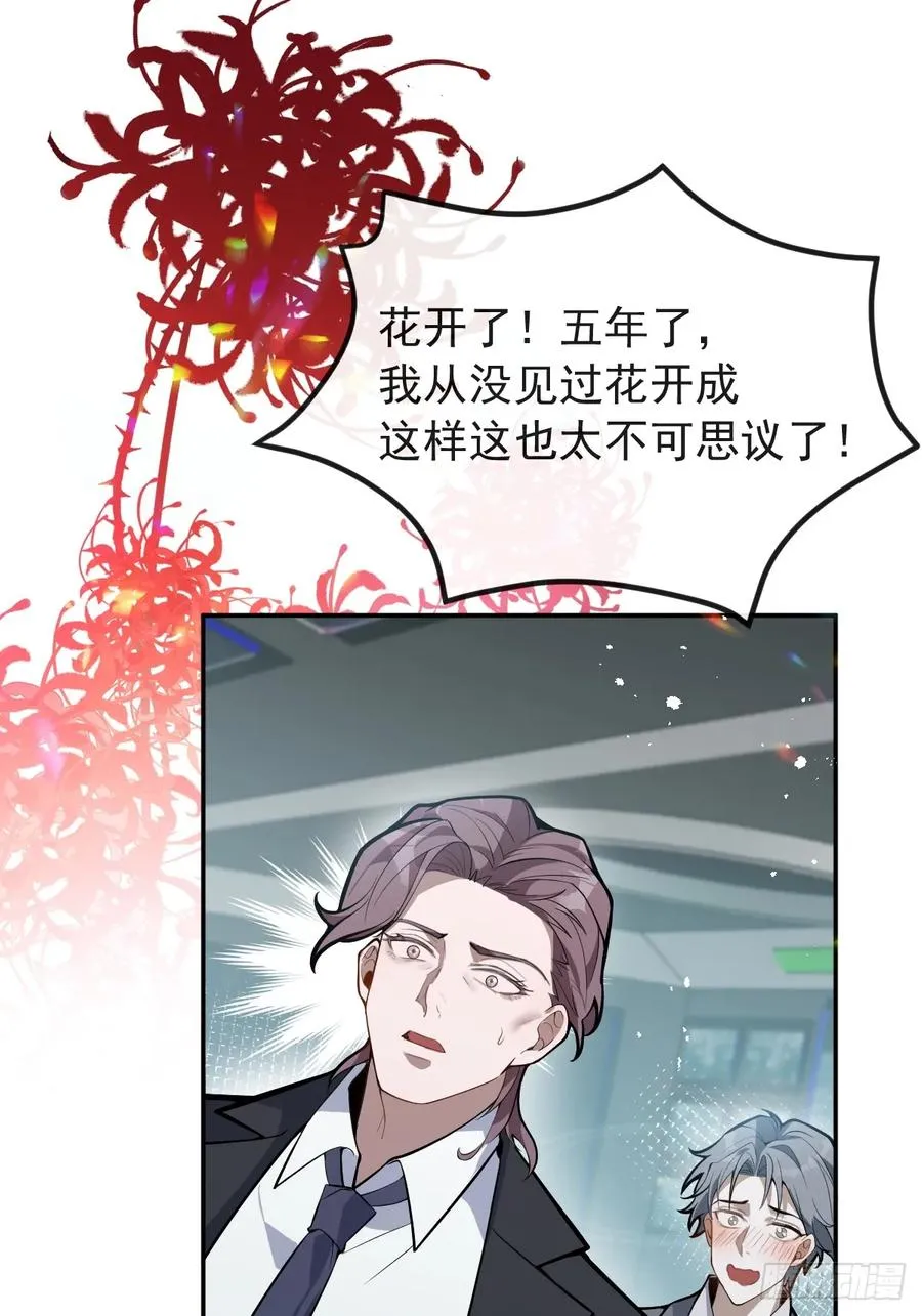 45-辰阳的真正实力 第41页