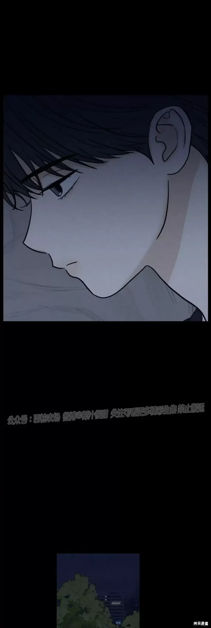 第41话 第19页