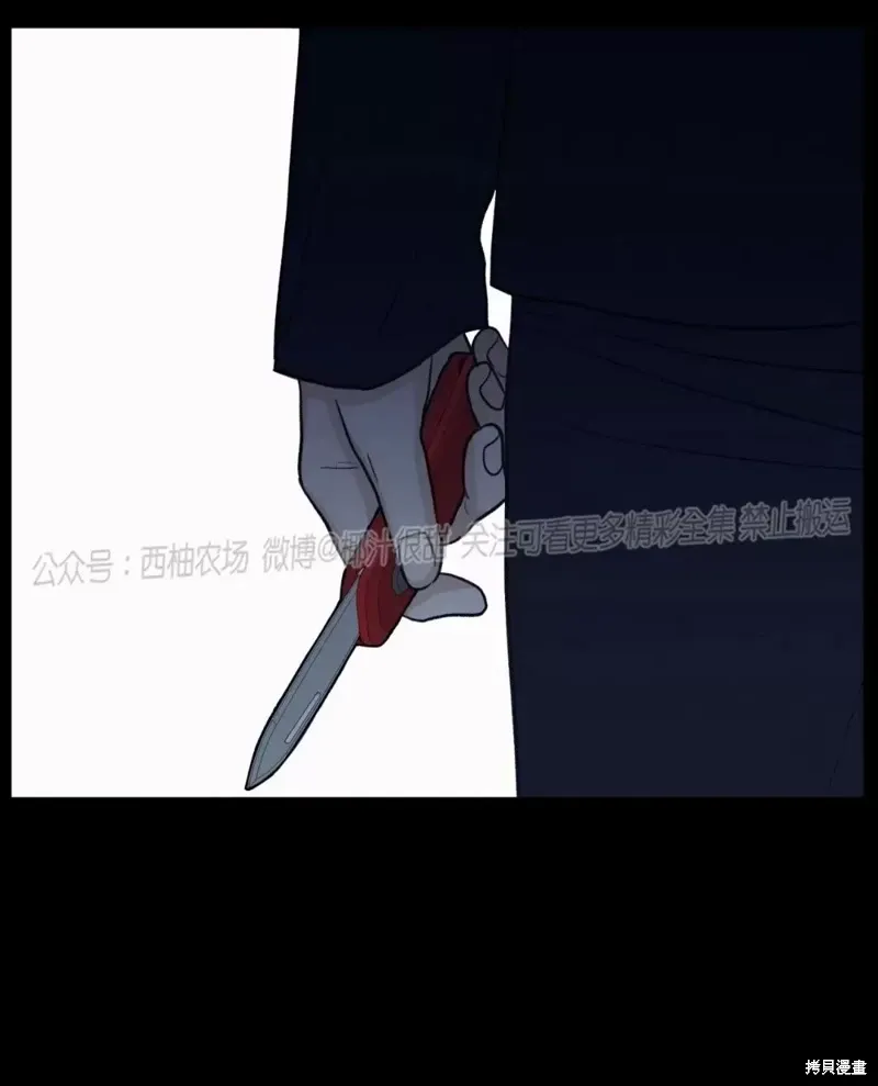 第41话 第21页