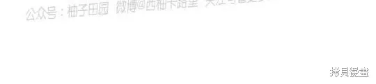 第56话 第6页