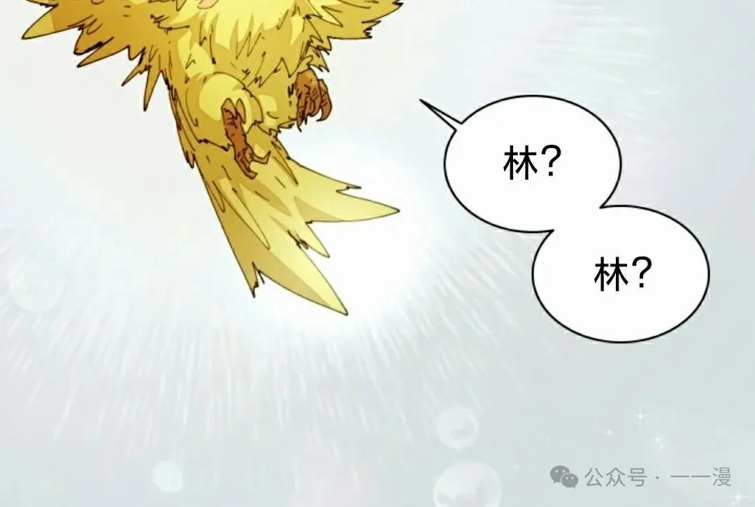 第60集 第55页