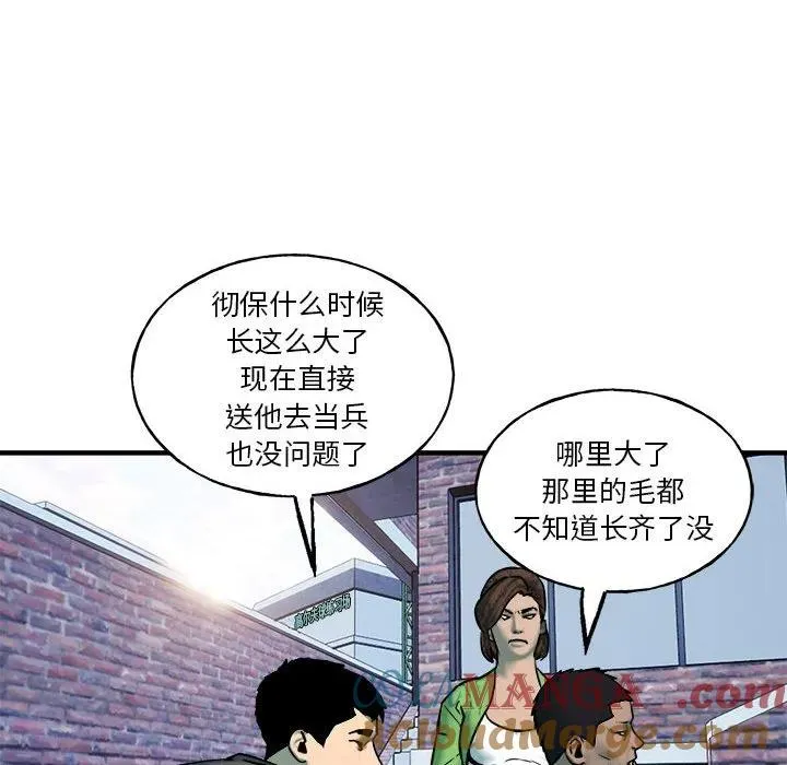 16 第117页