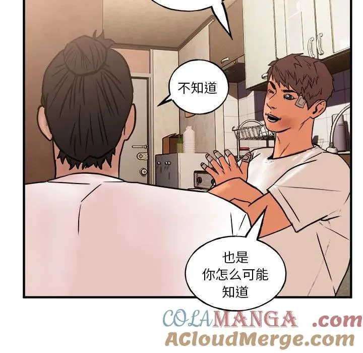 19 第33页