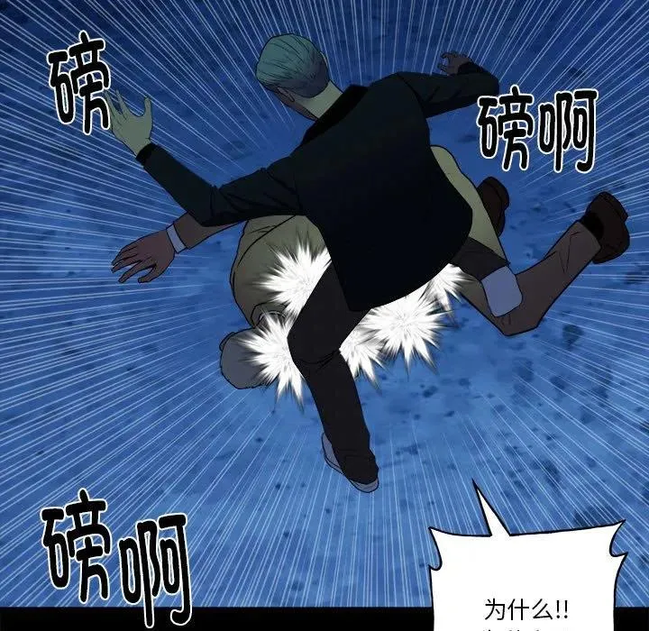 43 第50页