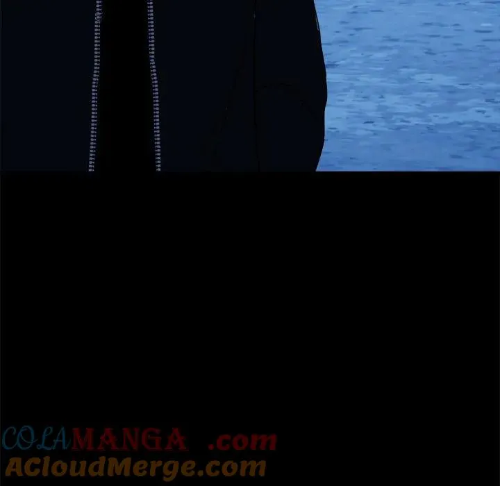 43 第113页