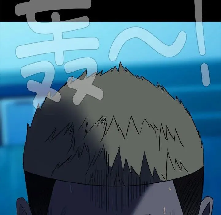 43 第195页